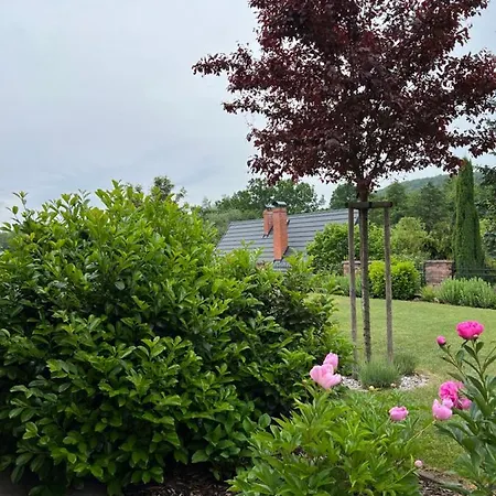 Elen 6 Luzek, 86 M2 *