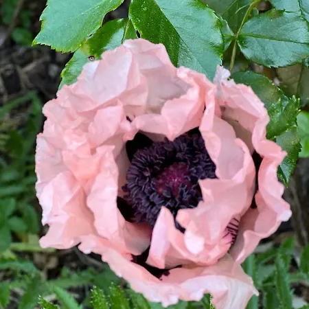 منزل للإقامة Elen 6 Luzek, 86 M2