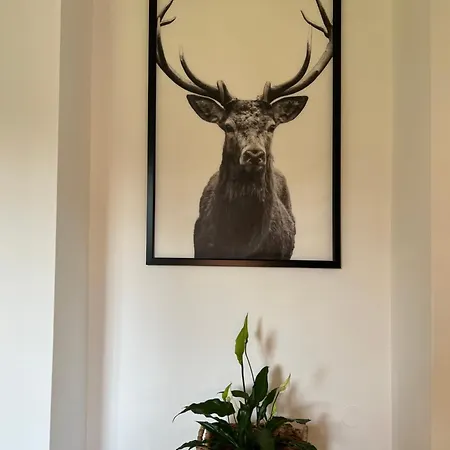 Séjour chez l'habitant Elen 6 Luzek, 86 M2 Decin